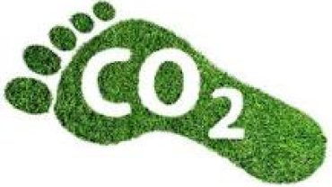 WHERE YOU CAN OFFSET YOUR CO2 FOOTPRINT?