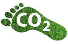 WHERE YOU CAN OFFSET YOUR CO2 FOOTPRINT?