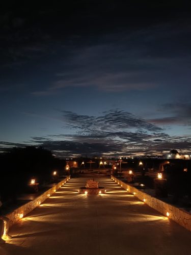 6fd5a24b-30bd-422f-81ff-8d65530779cd